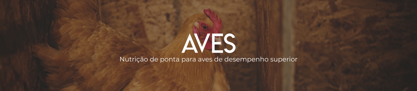 Aves